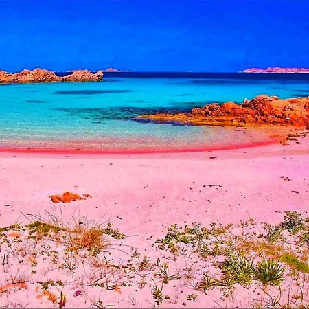 Apartament Bouganville Con Parcheggio Privato