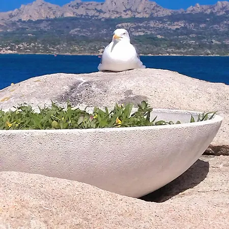Bouganville Caprera E Spiagge Wifi E Parcheggio La Maddalena (Sassari)