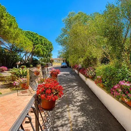 Bouganville Caprera E Spiagge Wifi E Parcheggio شقة لا ماداّلينا