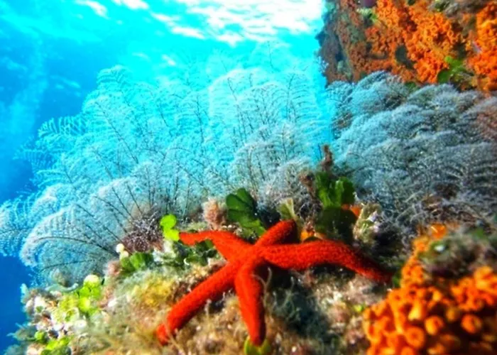 Bouganville Con Parcheggio Privato